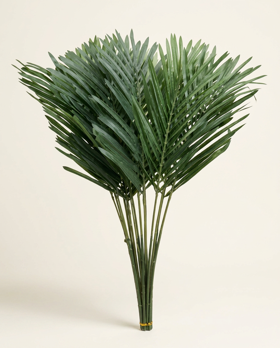 Robellini Palm foliage (Phoenix roebelenii)
